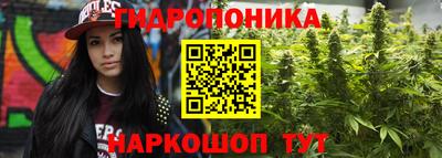 дурь Усть-Джегута