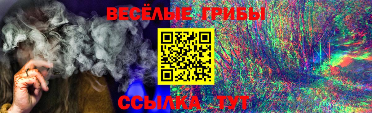 Псилоцибиновые грибы Psilocybe Богданович