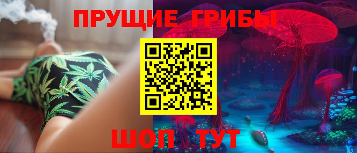 Псилоцибиновые грибы мухоморы  Вход с VPN  Богданович  Галлюциногенные грибы Psilocybe 