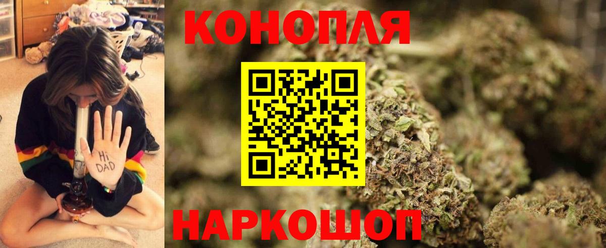 Шишки марихуана гибрид Богданович